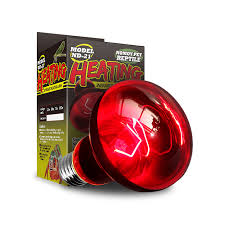 Ampolleta Infrarroja1