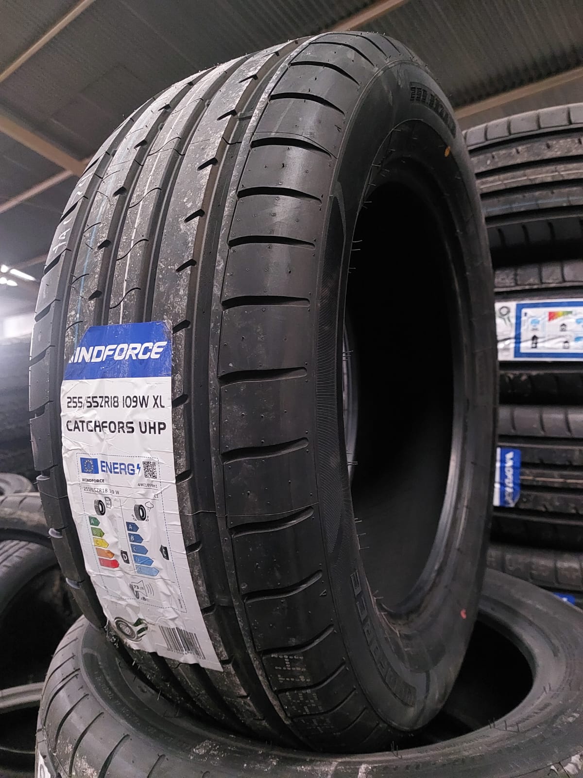 NEUMATICO 255/55 R18 WINDFORCE CATCHFORS UHP 109WXL | Neumáticos