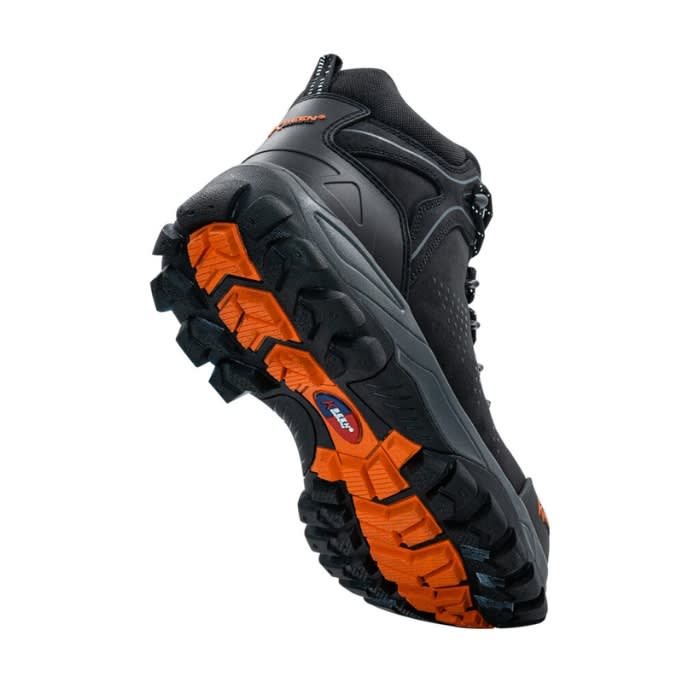 Botin seguridad abyssal4