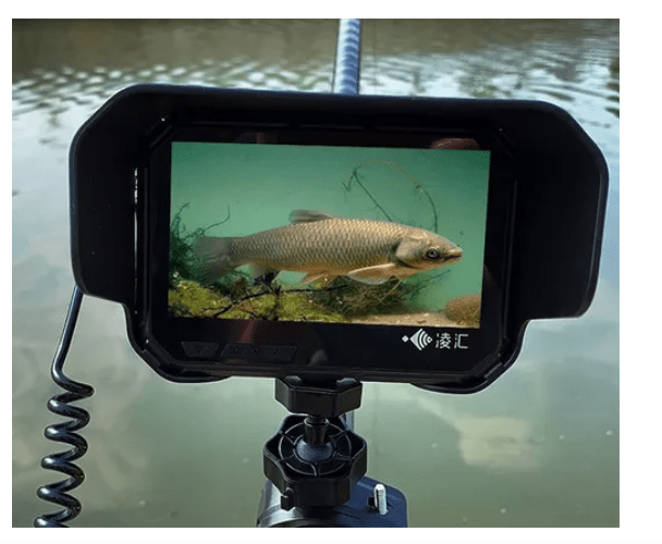 KIT Camara Pescar Pantalla monitor  Pescar 4.3 plugads 195 grados 30mt5