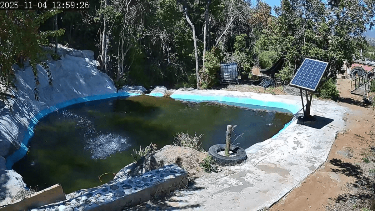 IPC-B132-AF28-DL-ECO CAMARA BALA IP 2MP 2.8MM DUAL COLOR 30MT MIC ONVIF IP67 H.265+ Sin conexión DC UNIARCH3