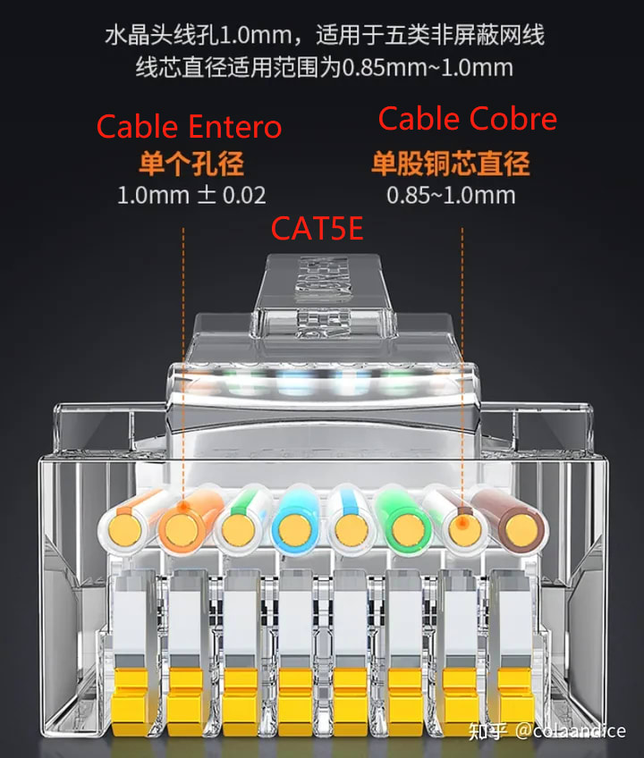 Conector RJ45 Cat5E utp Plástica2