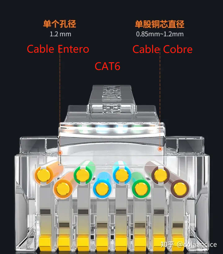 Conector RJ45 Cat6 utp Plástica2