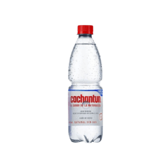 AGUA MINERAL CACHANTUN SIN GAS 600ML