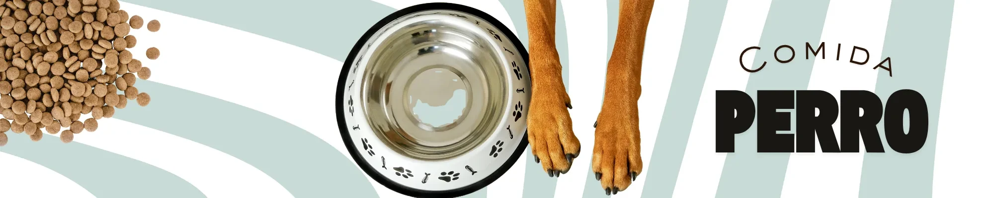 Comida perro
