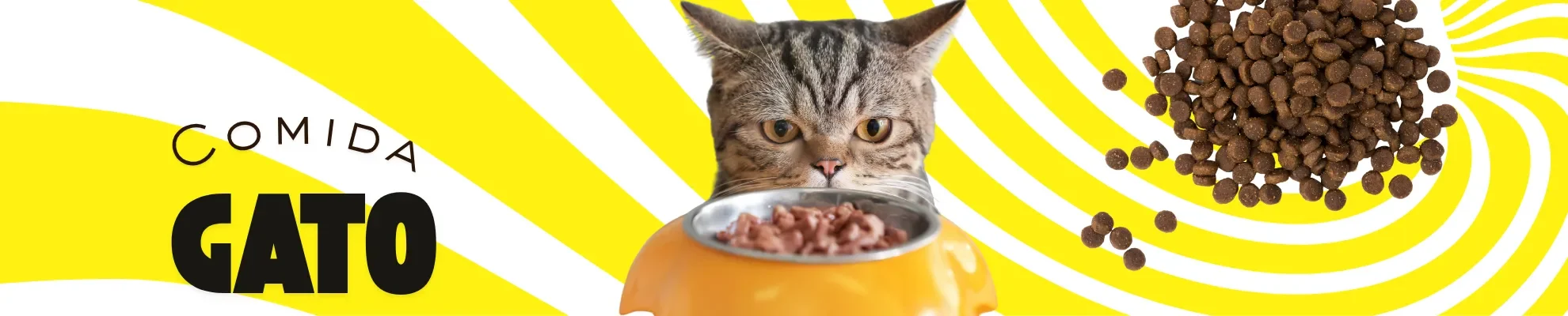 Comida Gato