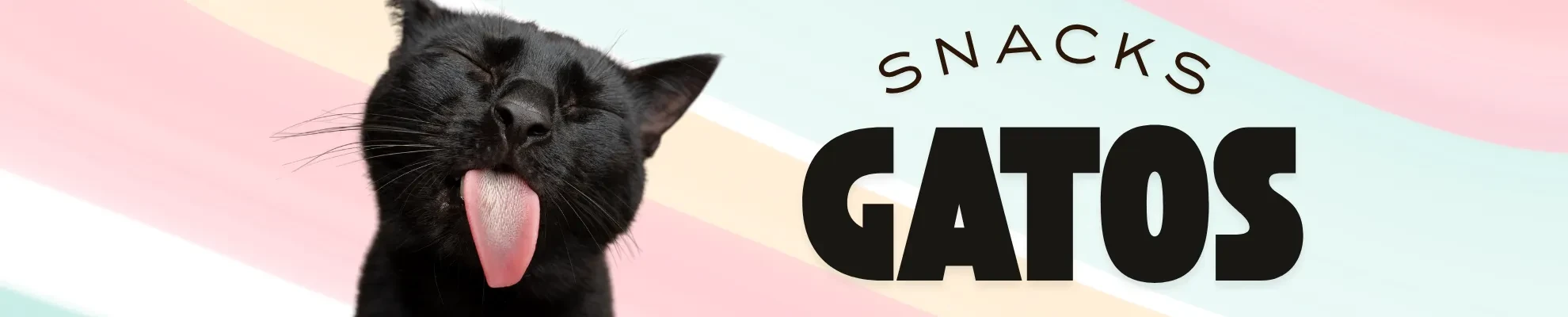 Snack gato