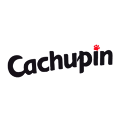 CACHUPIN