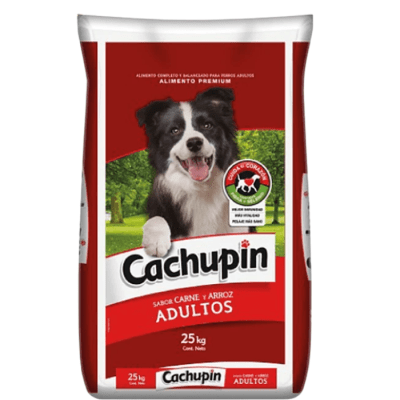 CACHUPIN1