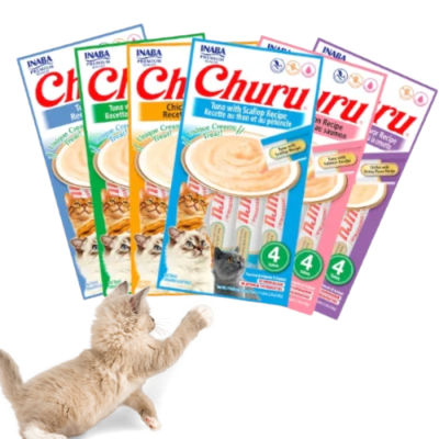 CHURU1