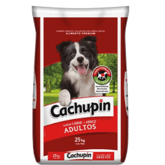 CACHUPIN