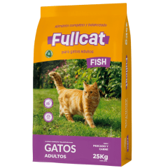 FULL CAT