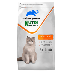ANIMAL PLANET GATO