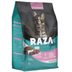 RAZA GATO CACHORRO