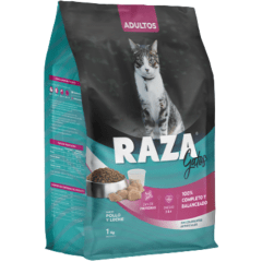 RAZA GATO POLLO