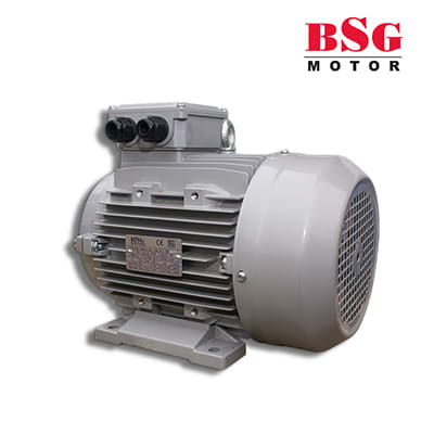 Motor 5.5 Hp Trifásico