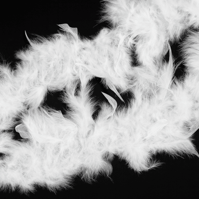 Boa de Plumas Blanca – 2 metros1