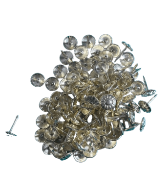 Chinche Dorado con Diseño 1000 unidades2