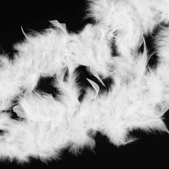 Boa de Plumas Blanca – 2 metros