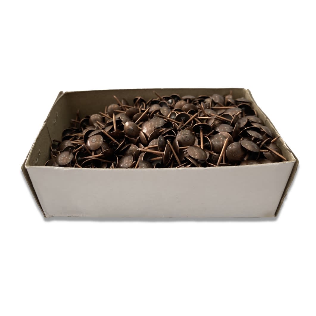 CAJA CHINCHE CAFÉ LISO 1000 Unidades2