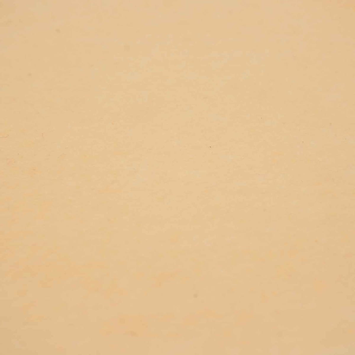 Pañolenci Color Piel x Metro 2