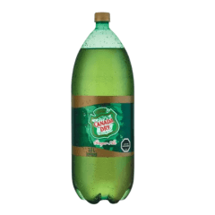 CANADA DRY GINGER ALE PET 3000CC.