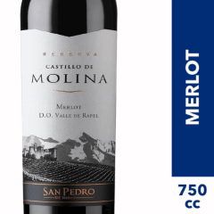 CASTILLO DE MOLINA GR MERLOT 750CC