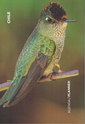 AGENDA DE AVES DE CHILE 2024 SEMANA A LA VISTA