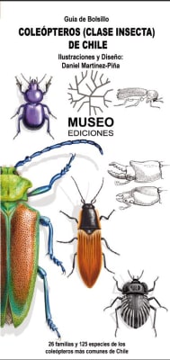 CLEÓPTEROS (CLASE INSECTA) DE CHILE