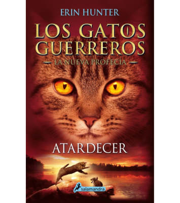 LOS GATOS GUERREROS ATARDECER