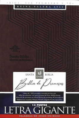 BIBLIA EDICIÓN DE PROMESAS RVR1960 LETRA GIGANTE CON CIERRE. CAFÉ
