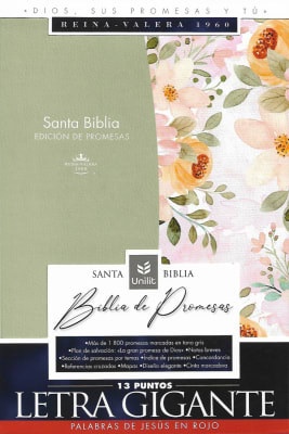 BIBLIA EDICIÓN DE PROMESAS RVR1960 LETRA GIGANTE CON CIERRE. VERDE