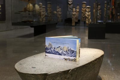 EL LIBRO LARGO DE LOS ANDES DE CHILE