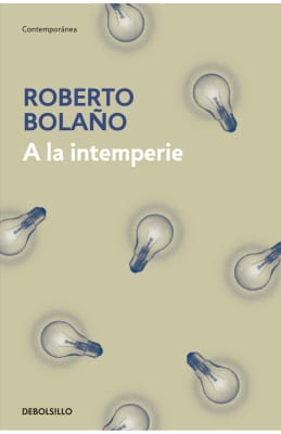A LA INTEMPERIE - ENSAYOS