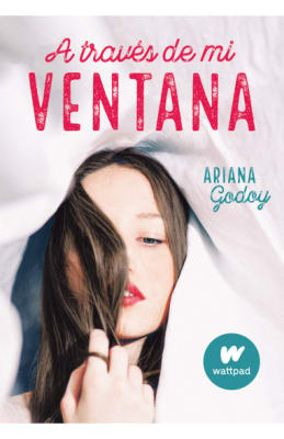 A TRAVÉS DE MI VENTANA