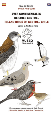 HUEVOS Y NIDOS DE LAS AVES DE CHILE DESPLEGABLE