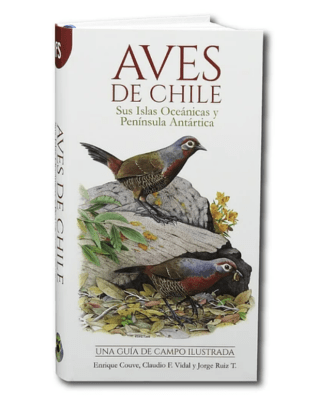 AVES DE CHILE: UNA GUIA DE CAMPO ILUSTRADA