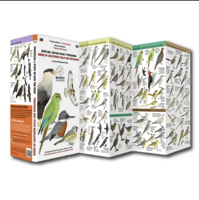 AVES DEL SUR DE CHILE Y PATAGONIA DESPLEGABLE