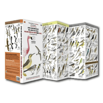 AVES CONTINENTALES DEL NORTE DE CHILE DESPLEGABLE