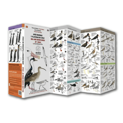 AVES MARINAS Y PLAYERAS DE CHILE DESPLEGABLES