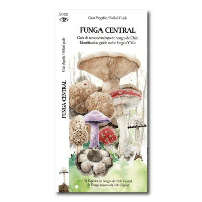 FUNGA CENTRAL DESPLEGABLE