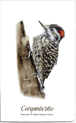 CUADERNO DE VIAJE CARPINTERO