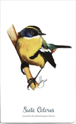 CUADERNO DE VIAJE SIETE COLORES