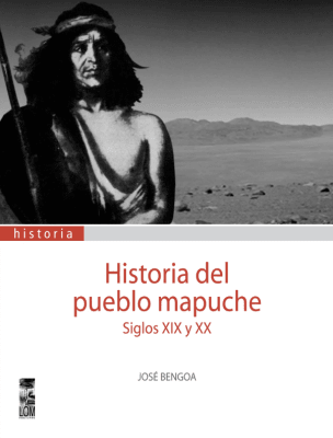 HISTORIA DEL PUEBLO MAPUCHE. SIGLOS XIX & XX