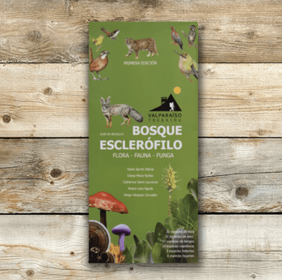 BOSQUE ESCLERÓFILO DESPLEGABLE