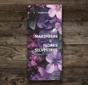 MARIPOSAS Y FLORES SILVESTRES