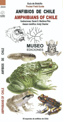 ANFIBIOS DE CHILE GUIA DE BOLSILLO