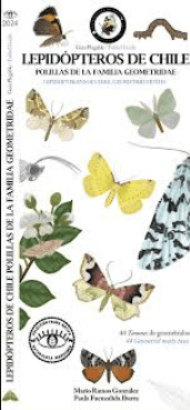 LEPIDOPTEROS DE CHILE