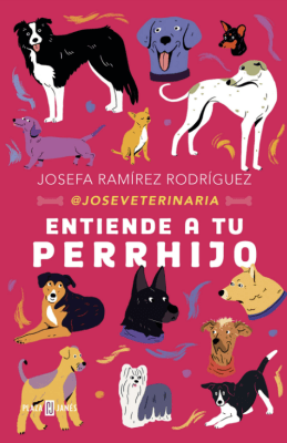 ENTIENDE A TU PERRHIJO