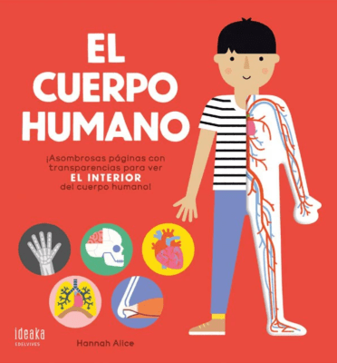 EL CUERPO HUMANO-EL INTERIOR